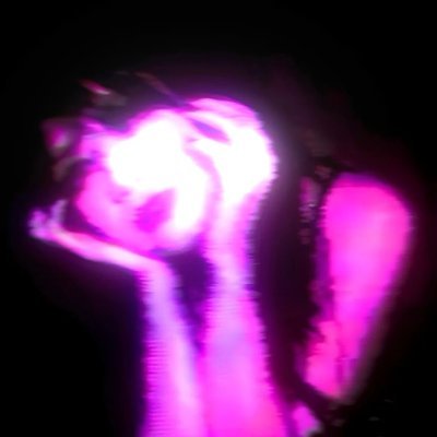 Sera